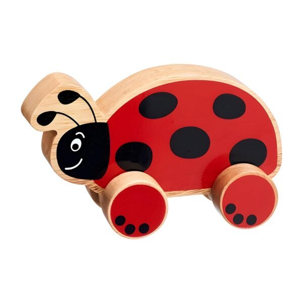 channapatna toys wooden ladybird