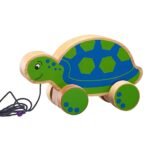 pull along turtle for kids