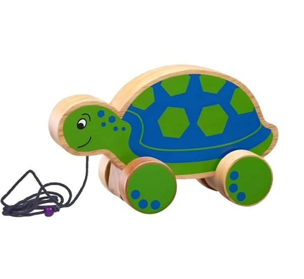 pull along turtle for kids