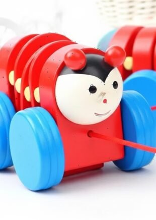 Wooden Caterpillar Pull-Along Toy – Early Walking Plaything (Assorted Designs)